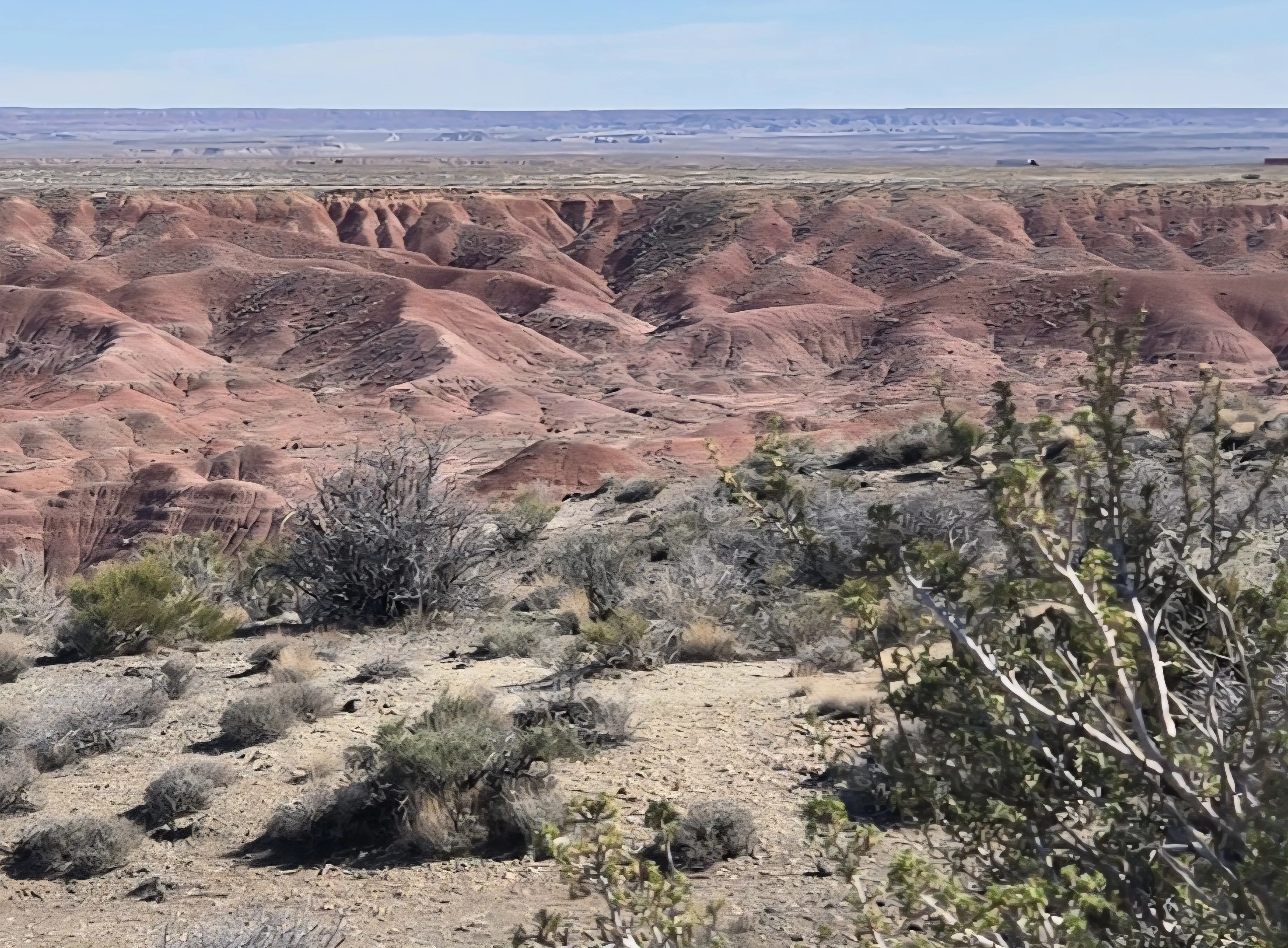 Painted Desert Arizona