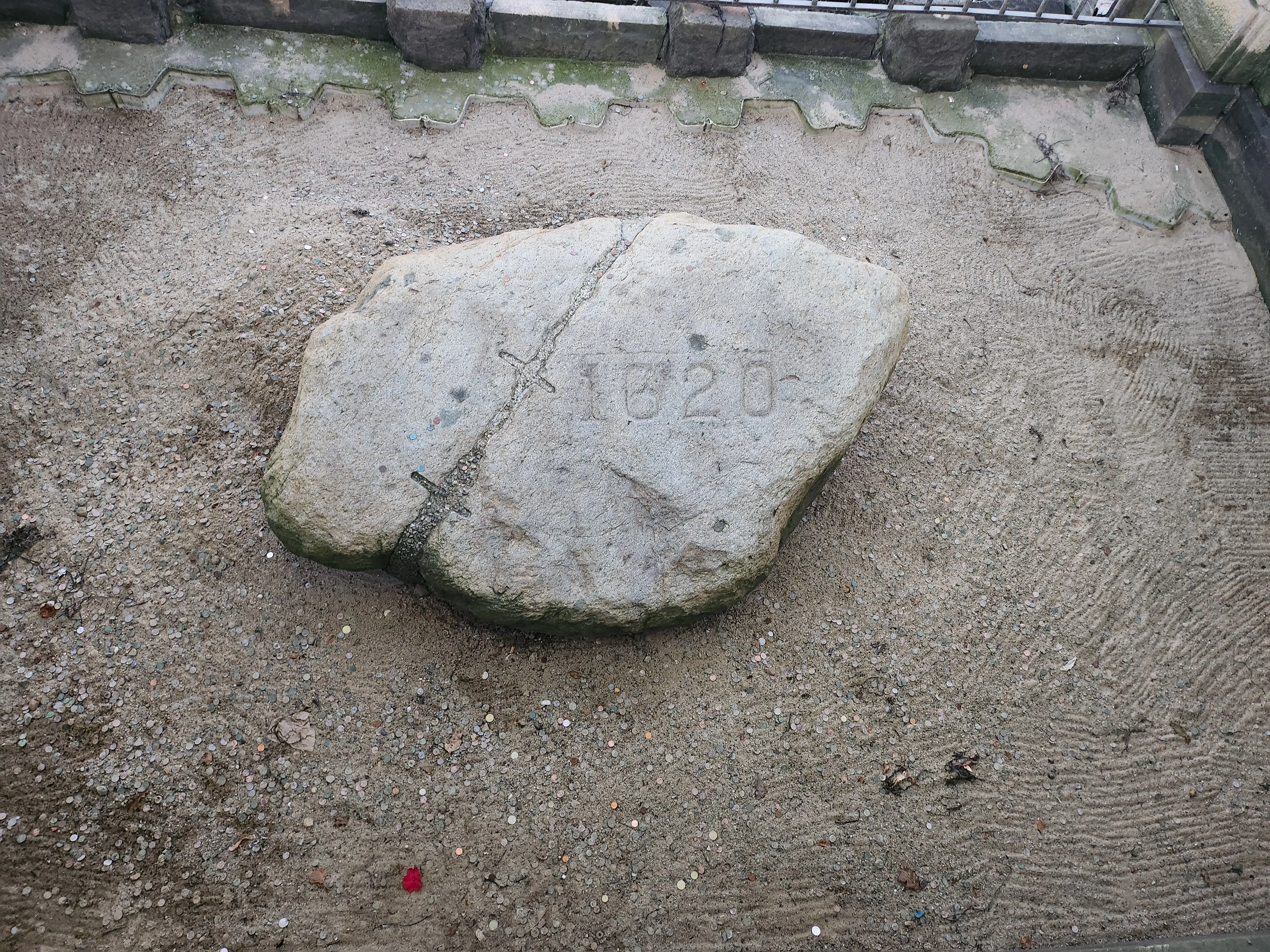 Plymouth Rock 1620