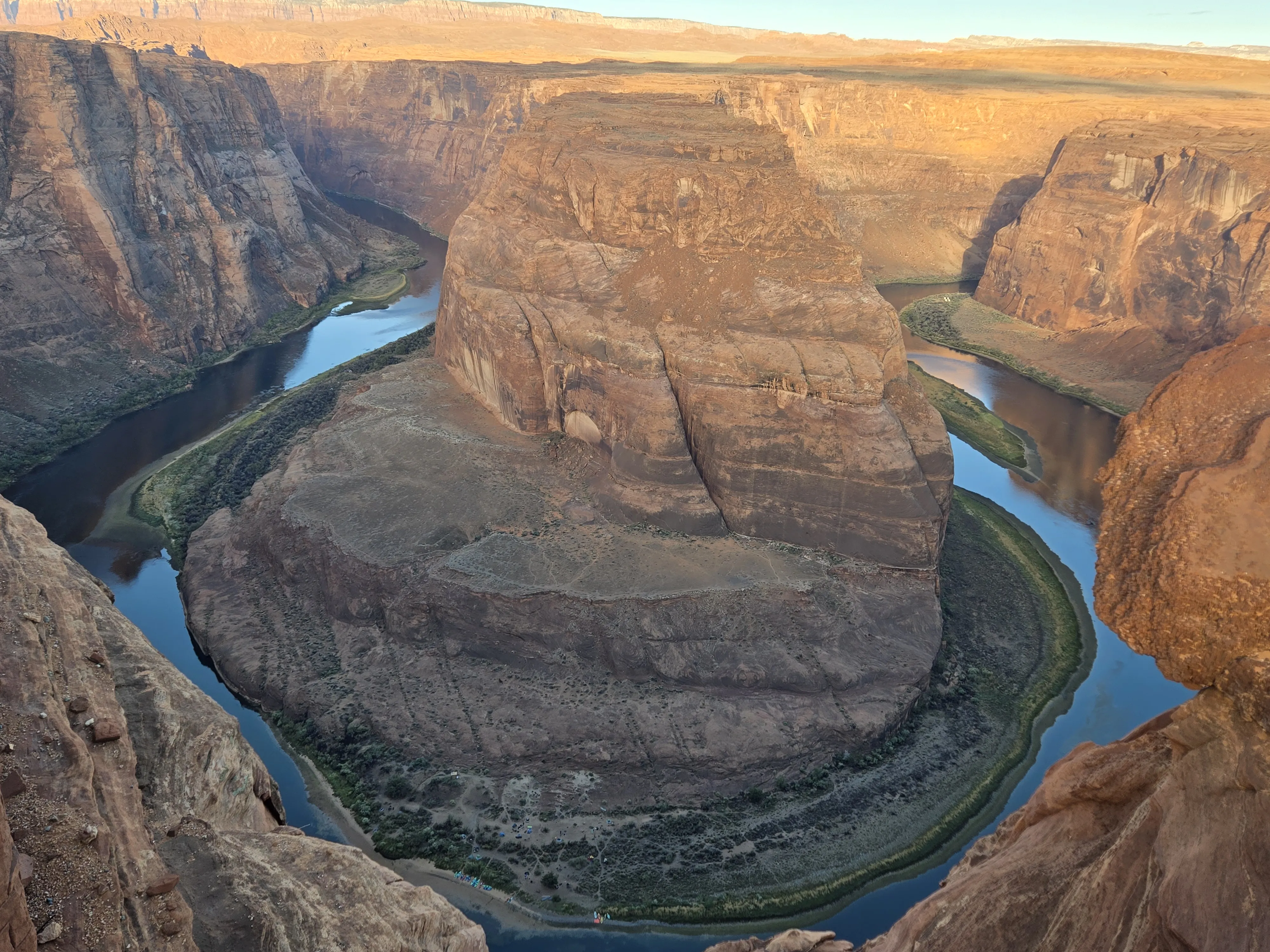 Raven Grand Canyon